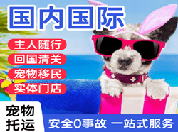 泉州航空运输国际宠物托运 【国